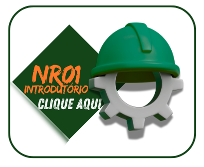 NR 01 - INTRODUT�RIO